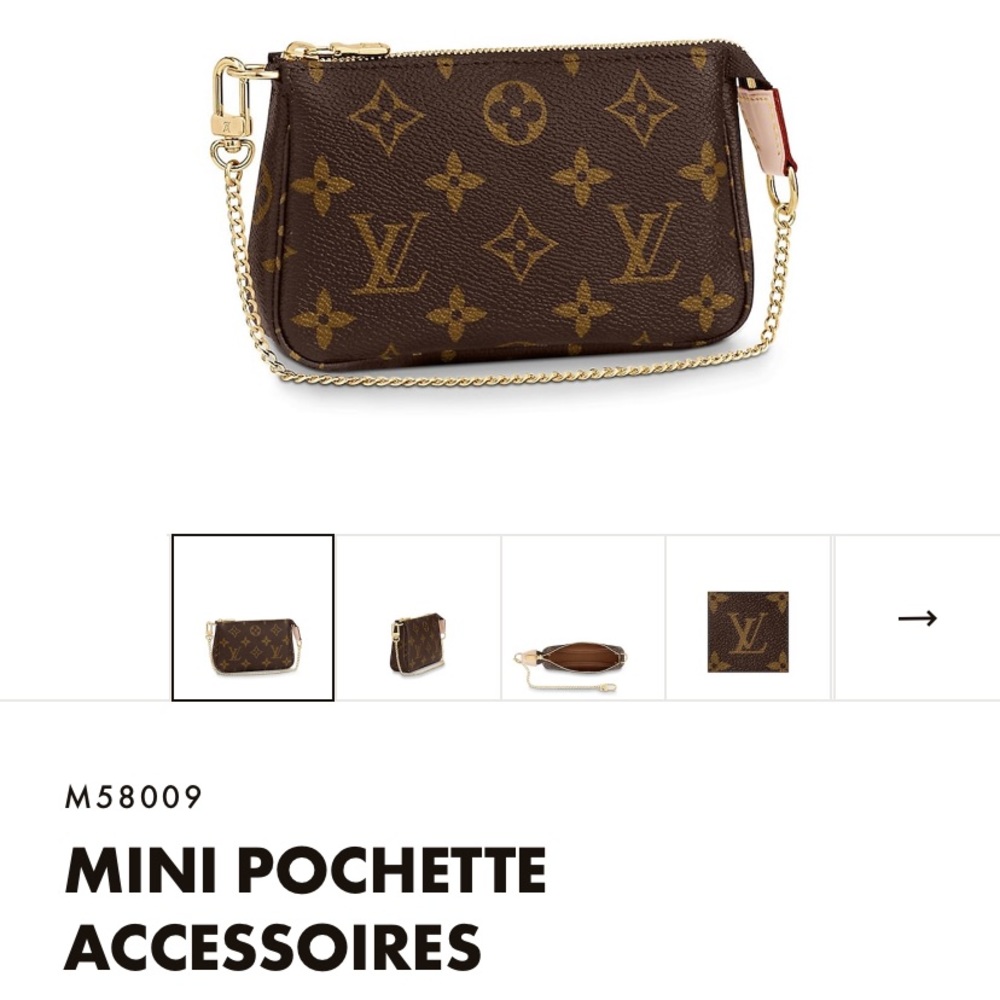 Louis Vuitton coin purse wristlet